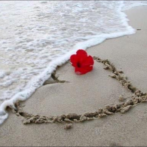 Meet your Posher, Gina - Picture 5 of 7